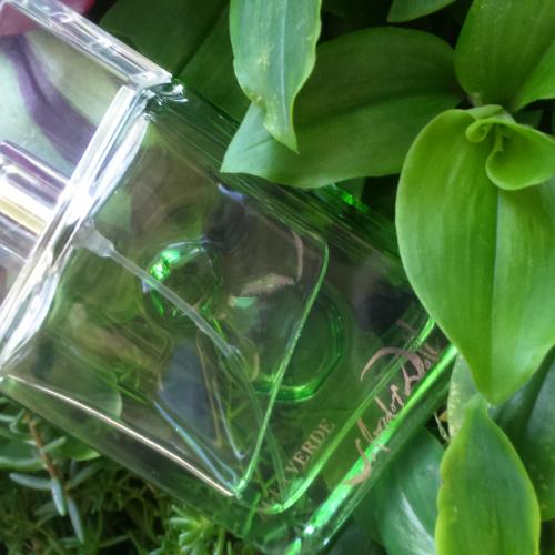 Salvador Dali Agua Verde EDT - opinie | zdjęcie do recenzji od Perfumovelove - 1