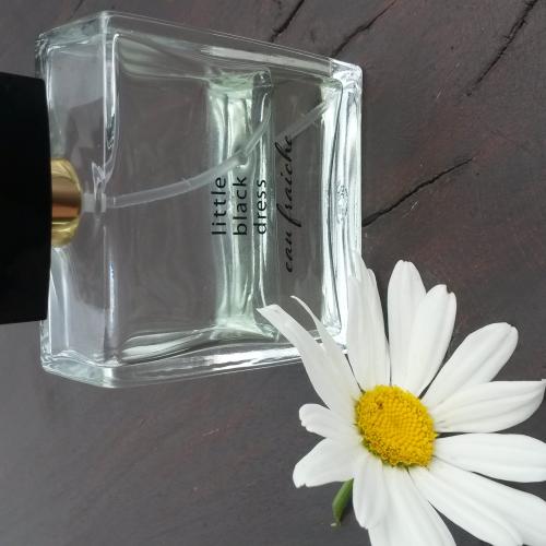 Avon Little Black Dress Eau Fraiche EDP - opinie | zdjęcie do recenzji od ksenia0507