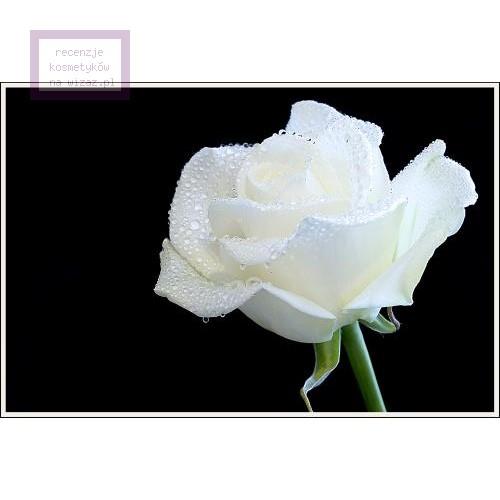 Van Cleef & Arpels Feerie Rose des Neiges EDT - opinie | zdjęcie do recenzji od mazienka1984 - 5
