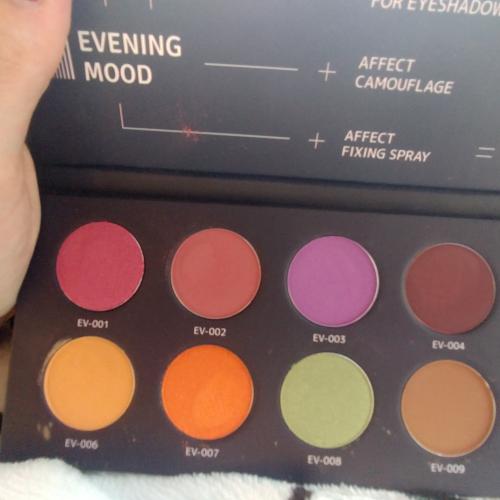 Affect Created by Karolina Matraszek, Evening Mood, Eyeshadow Palette (Paleta 10 cieni prasowanych) - opinie | zdjęcie do recenzji od MILLIOPOLONY - 3