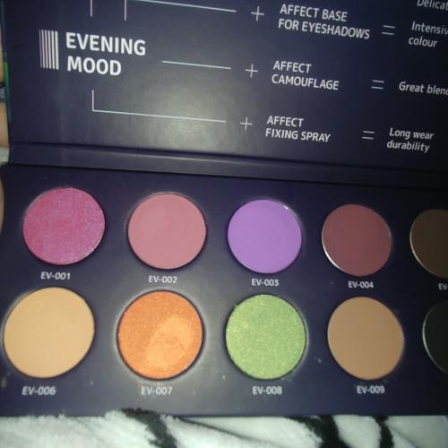 Affect Created by Karolina Matraszek, Evening Mood, Eyeshadow Palette (Paleta 10 cieni prasowanych) - opinie | zdjęcie do recenzji od MILLIOPOLONY - 4