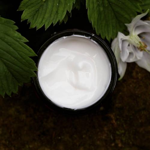 Alkmie Anti Age, No. 1 Beauty Activate!, Biomimetic Enzymatic Peeling (Peeling biomimetyczny do twarzy enzymatyczny) - opinie | zdjęcie do recenzji od Szitaszi