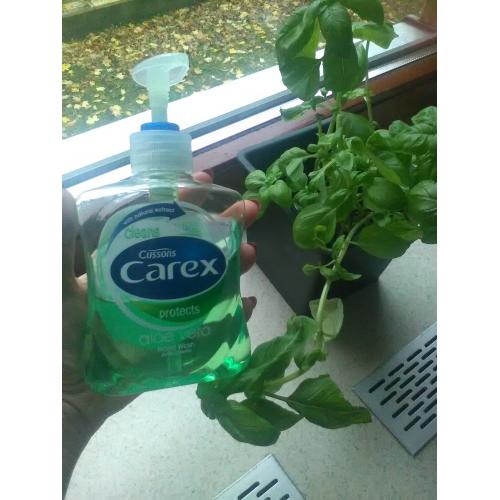 Carex Aloe Vera, Antibacterial Hand Wash (Antybakteryjne mydło w płynie) - opinie | zdjęcie do recenzji od Kamea2000