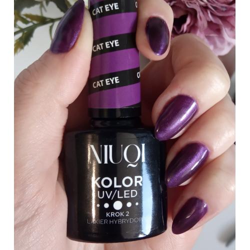 Niuqi Cat Eye, Lakier hybrydowy kolor UV/LED - opinie | zdjęcie do recenzji od intermanka