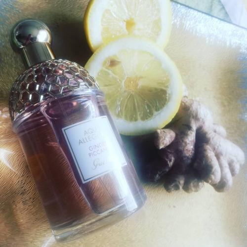 Guerlain Aqua Allegoria Ginger Piccante EDT - opinie | zdjęcie do recenzji od syl74 - 2