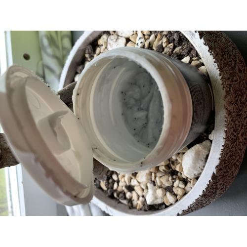 L'biotica Biovax Limited Collection, Aktywny węgiel i acai amazońskie, maska regenerująca do włosów pozbawionych blasku i objętości - opinie | zdjęcie do recenzji od Magda_Lena_Magda - 1