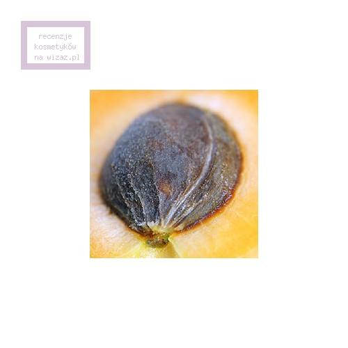 Queen Helene Footherapy, Apricot & Walnut Foot Scrub (Peeling do stóp z morelą i orzechem włoskim) - opinie | zdjęcie do recenzji od Zingiber - 3