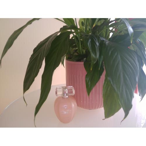 La Rive Silky Pink EDP - opinie | zdjęcie do recenzji od reni0507
