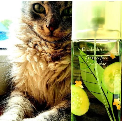 Elizabeth Arden Green Tea Cucumber EDT - opinie | zdjęcie do recenzji od lusia1987