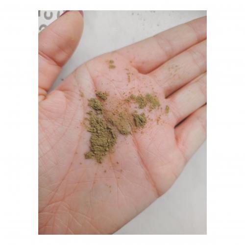Sattva Ayurveda Tulsi Powder (Proszek z tulsi) - opinie | zdjęcie do recenzji od Alezwieje - 2