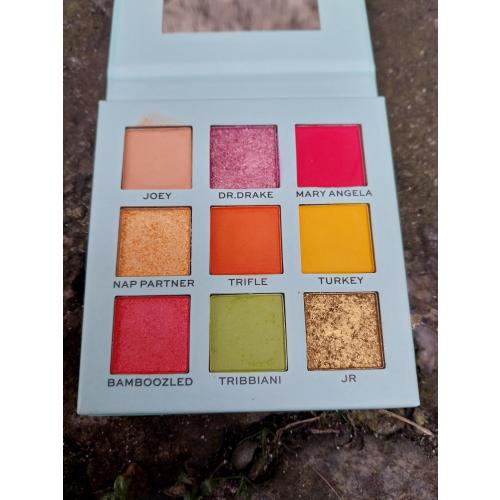Revolution Beauty (Makeup Revolution) Makeup Revolution x Friends, Joey Eyeshadow Palette (Paleta cieni do powiek) - opinie | zdjęcie do recenzji od Smerfeta83 - 1