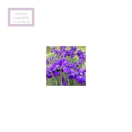 Etro Vicolo Fiori EDT - opinie | zdjęcie do recenzji od Natalia 1 - 7
