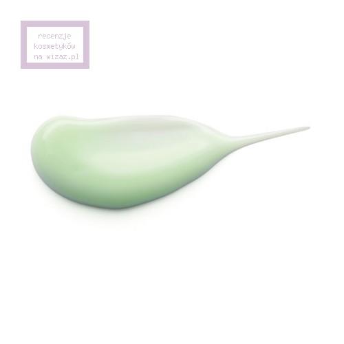 Yves Rocher Scutellaire [Scutellaria], 2 in 1 Moisturizing Hair Regrowth Inhibitor (Mleczko nawilżające opóźniające odrastanie włosków) - opinie | zdjęcie do recenzji od Ajiv - 1