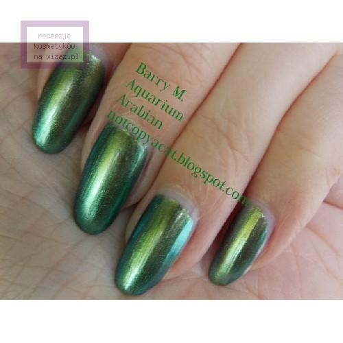 Barry M Aquarium Nail Paint (Opalizujący lakier do paznokci) - opinie | zdjęcie do recenzji od LillyS - 1