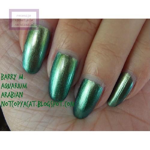 Barry M Aquarium Nail Paint (Opalizujący lakier do paznokci) - opinie | zdjęcie do recenzji od LillyS - 2