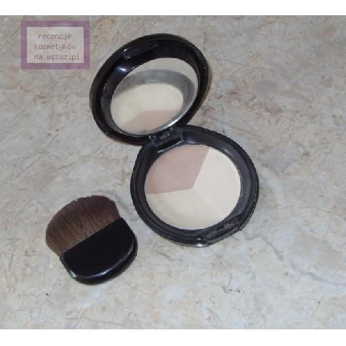 Shiseido The Makeup, Luminizing Color Powder (Puder prasowany) - opinie | zdjęcie do recenzji od Organzza - 1
