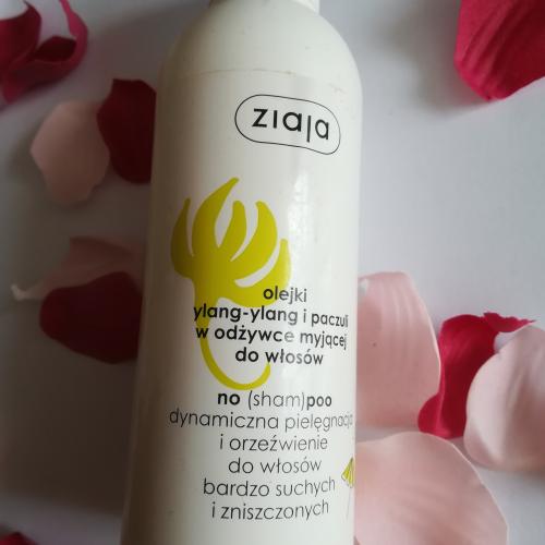 Ziaja Lato Limitowane,  Olejki ylang-ylang i paczuli w odżywce myjącej do włosów - opinie | zdjęcie do recenzji od aguss_iek
