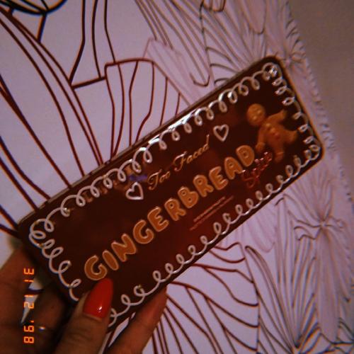 Too Faced Gingerbread Spice, Eyeshadow Palette (Paleta cieni do powiek) - opinie | zdjęcie do recenzji od Rumcykiewicz - 1