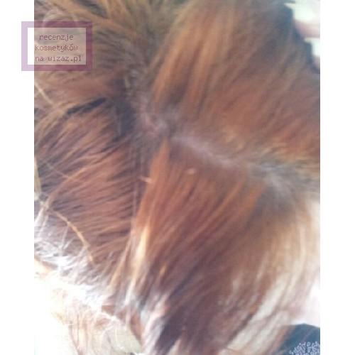 CHI Ionic Permanent Shine Hair Color (Farba do włosów) - opinie | zdjęcie do recenzji od Joanku